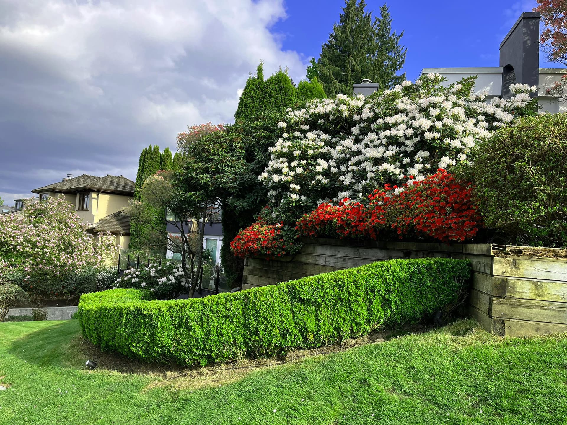 Garden Refresh — after