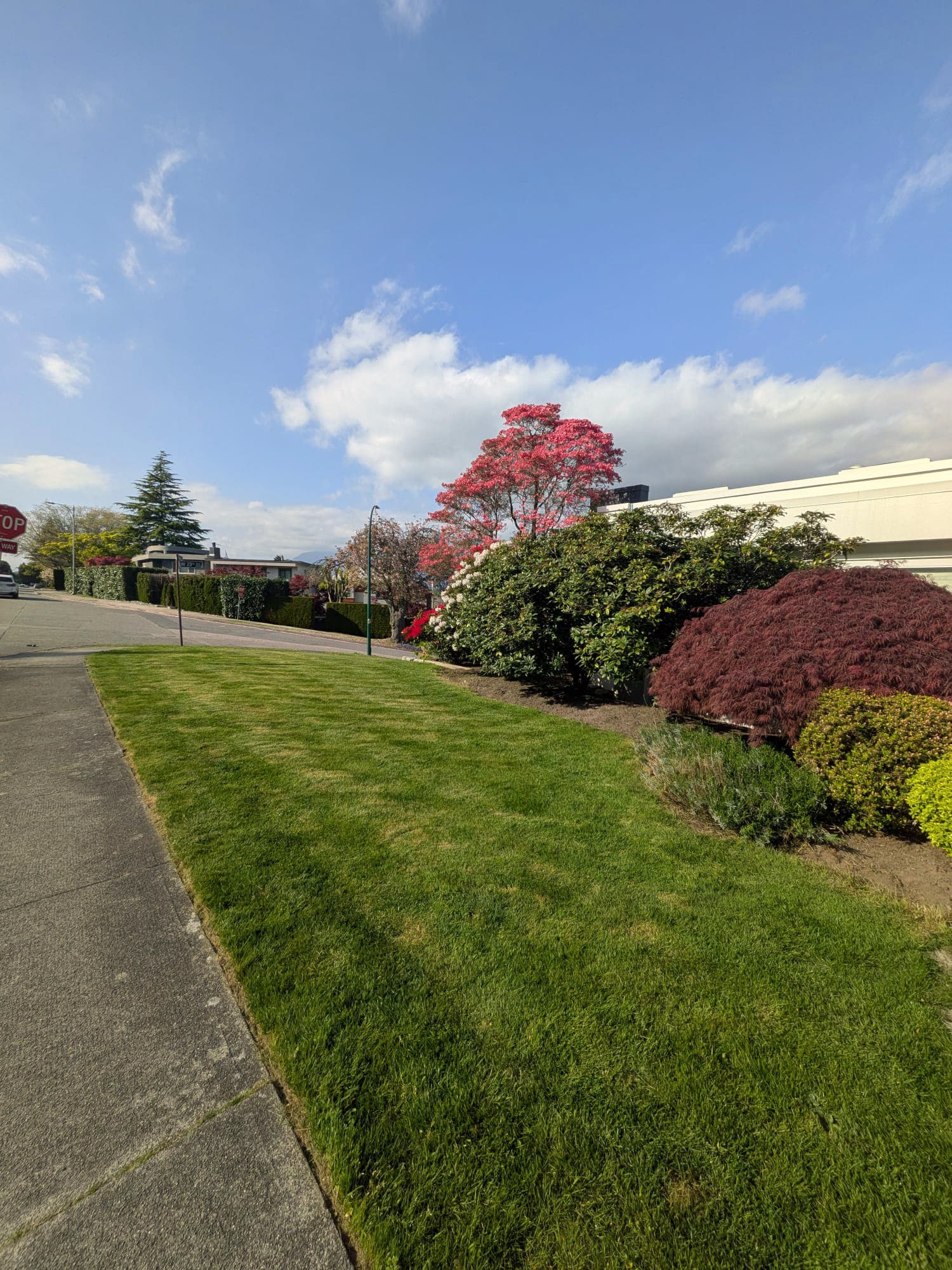 Lawn & Garden Revival — after