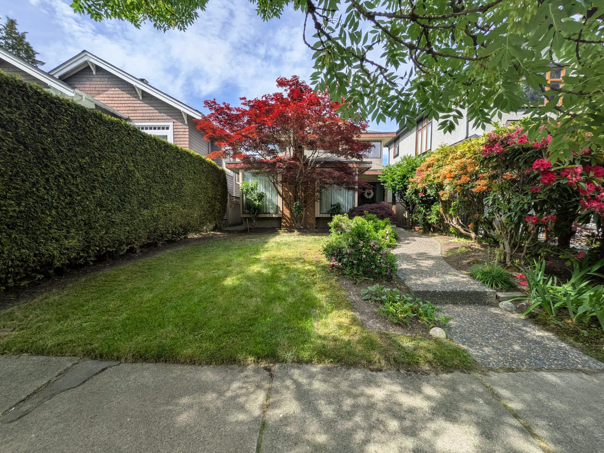Yard Cleanup — after