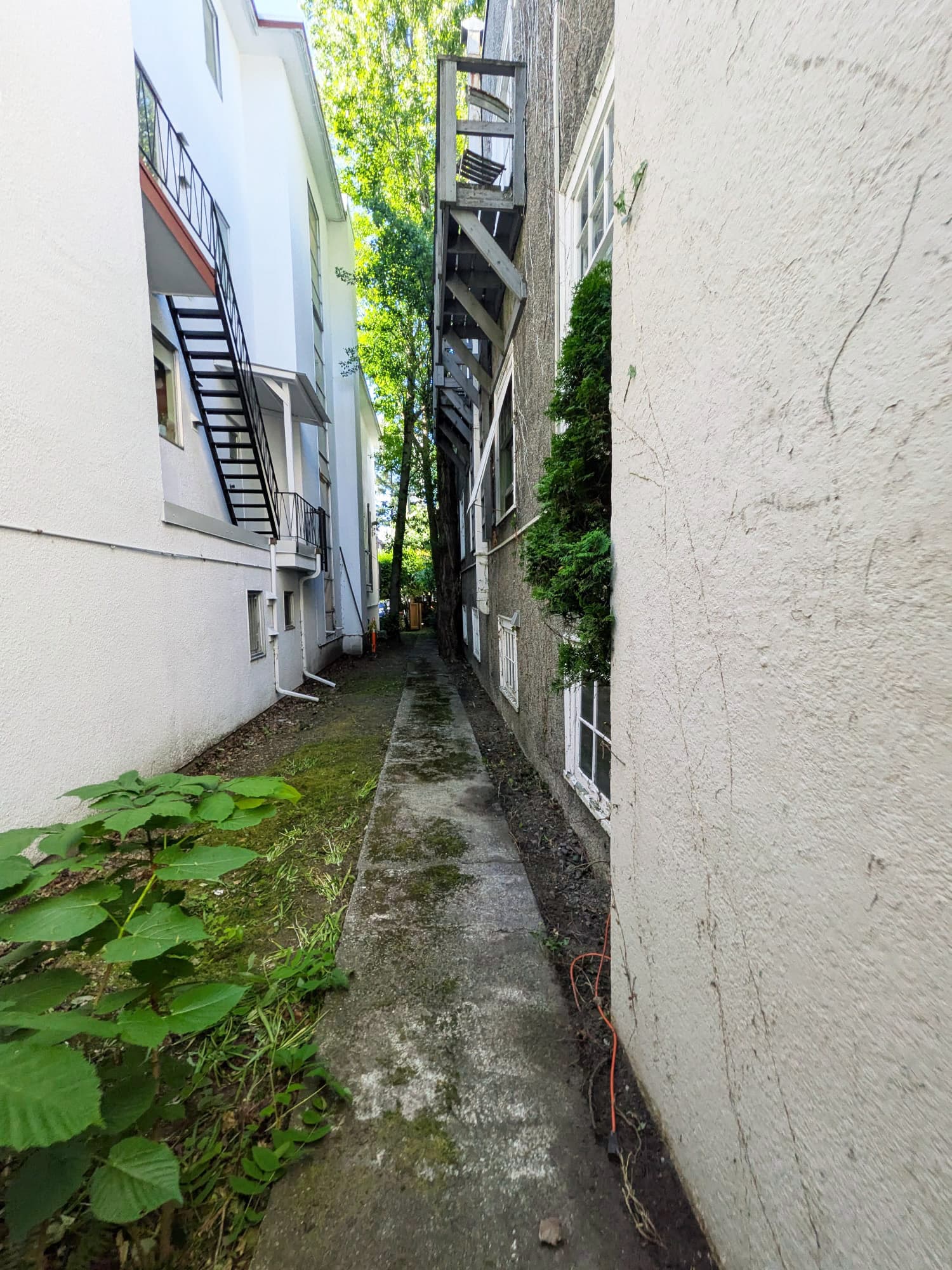 Garden Revival — after