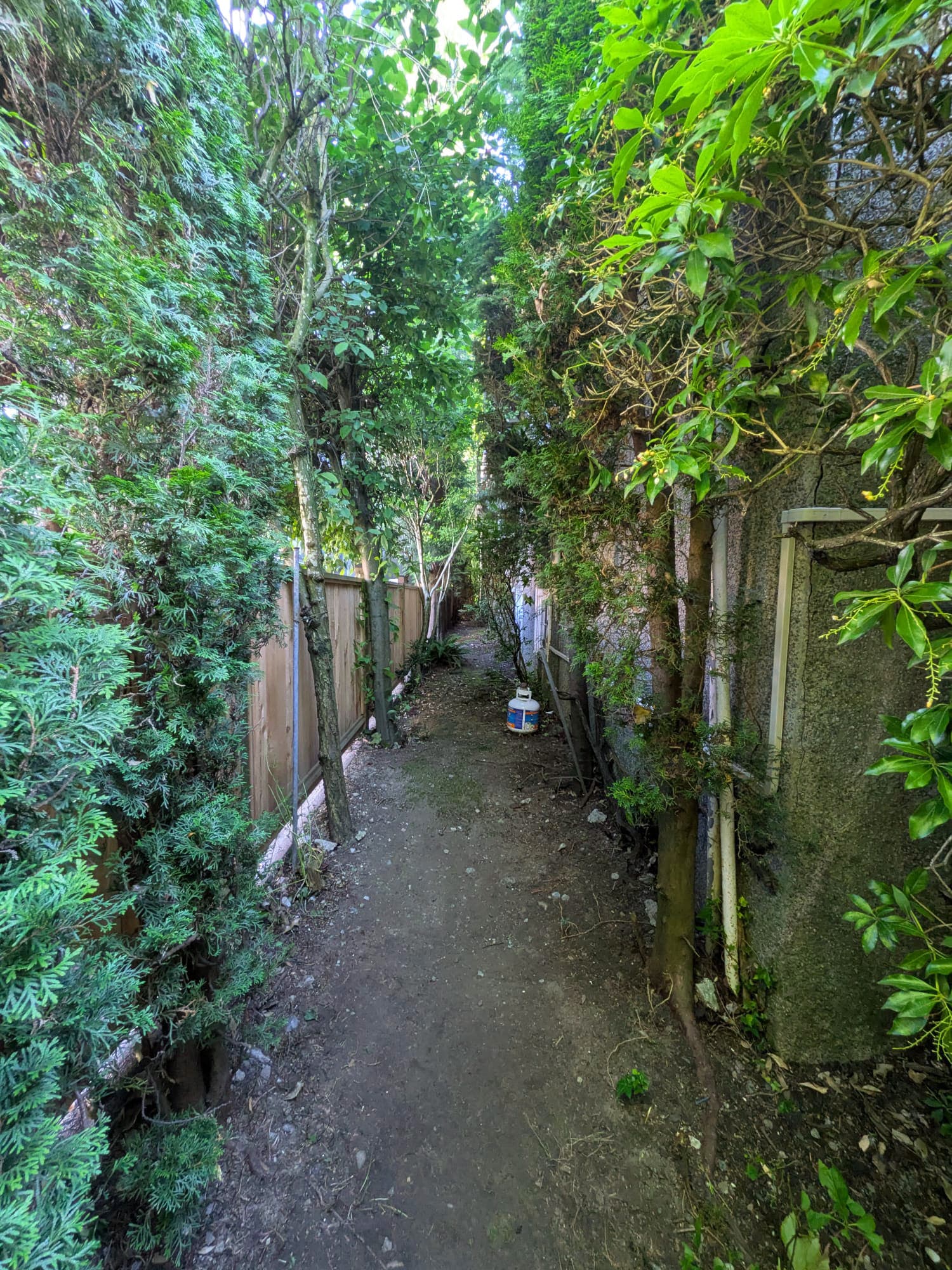 Outdoor Refresh — after