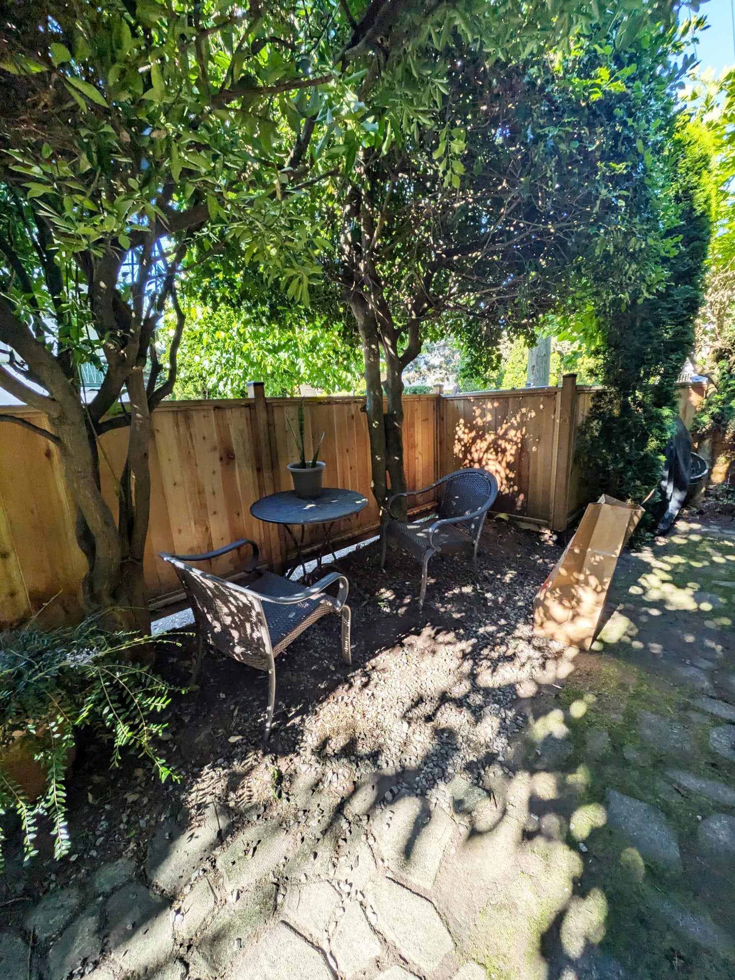 Yard Transformation — after