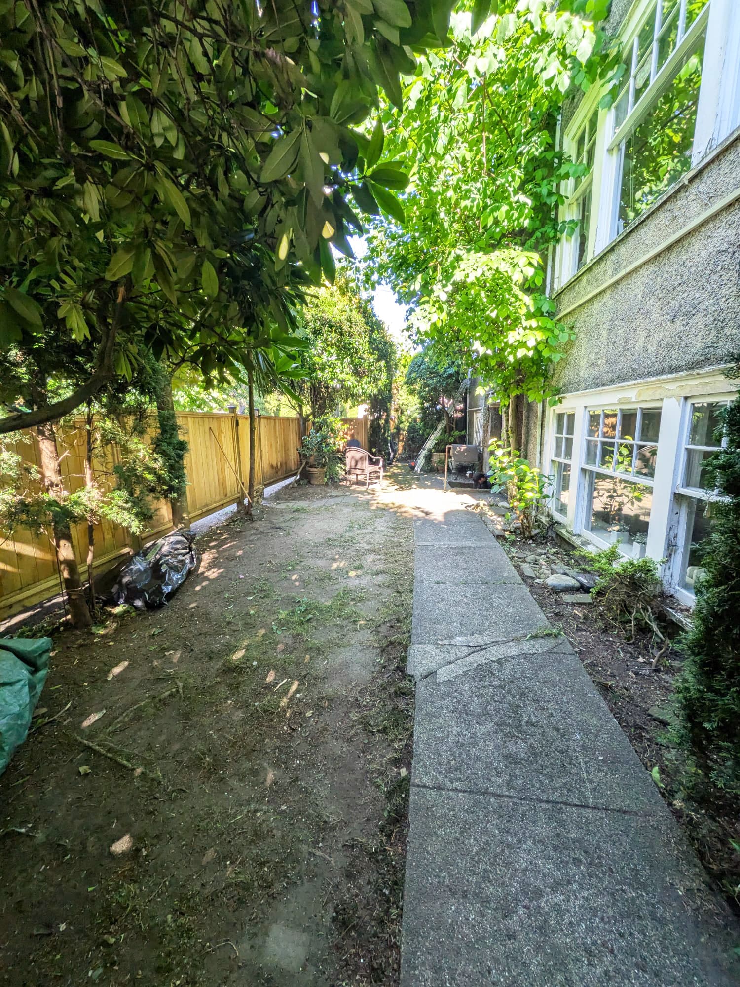 Garden Cleanup & Care — after