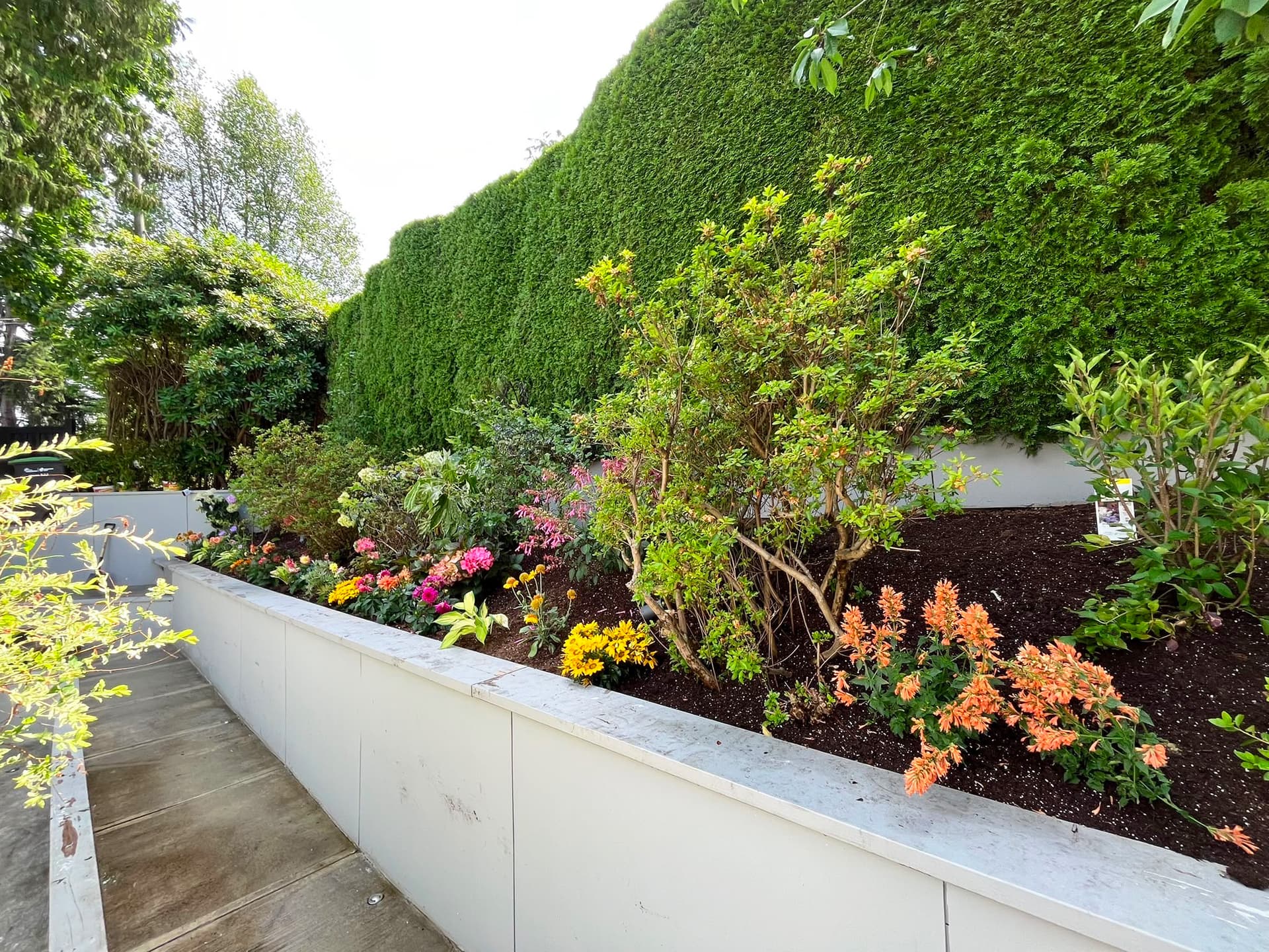 Tree & Flower Planting — after