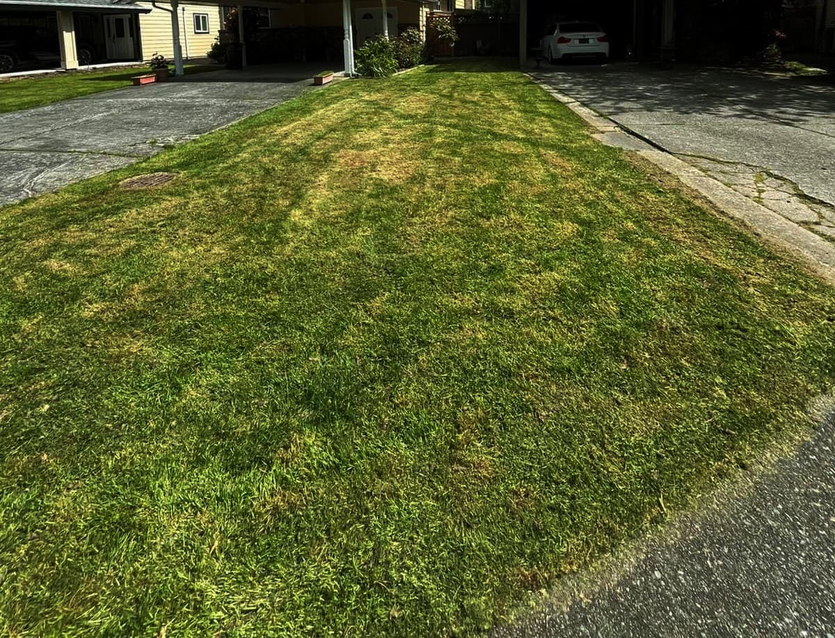 Garden Revival — after