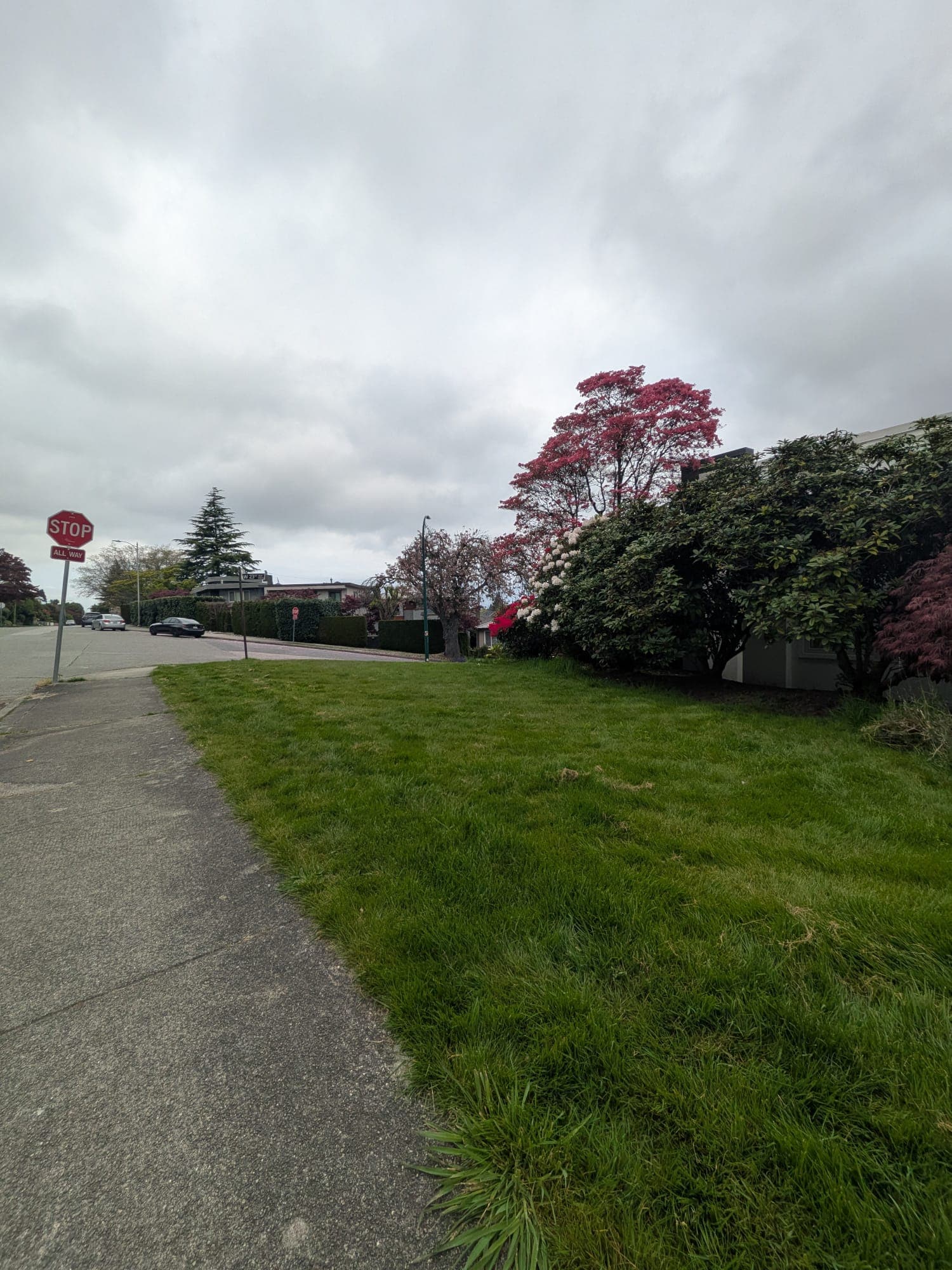 Lawn & Garden Revival — before