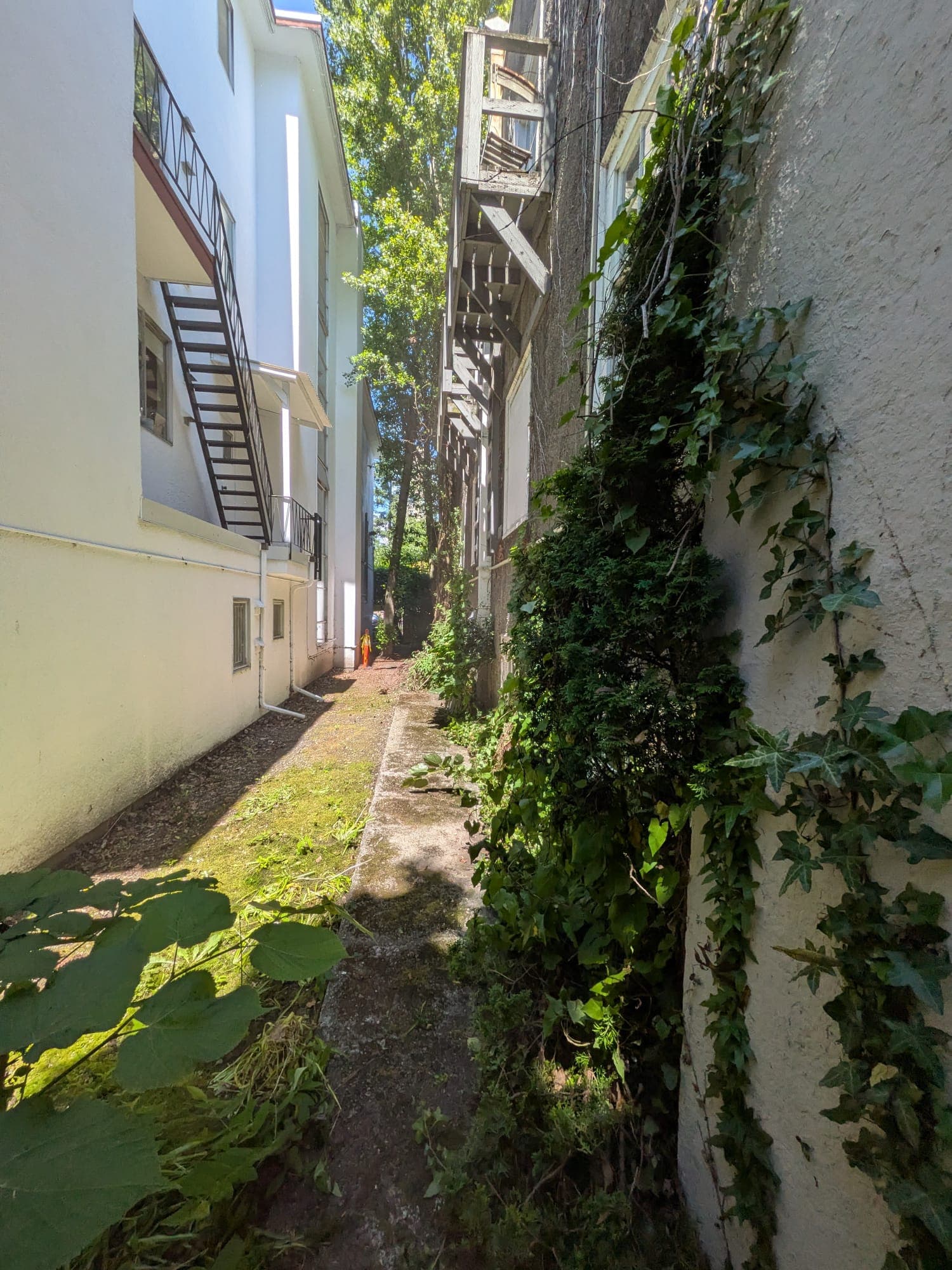 Garden Revival — before
