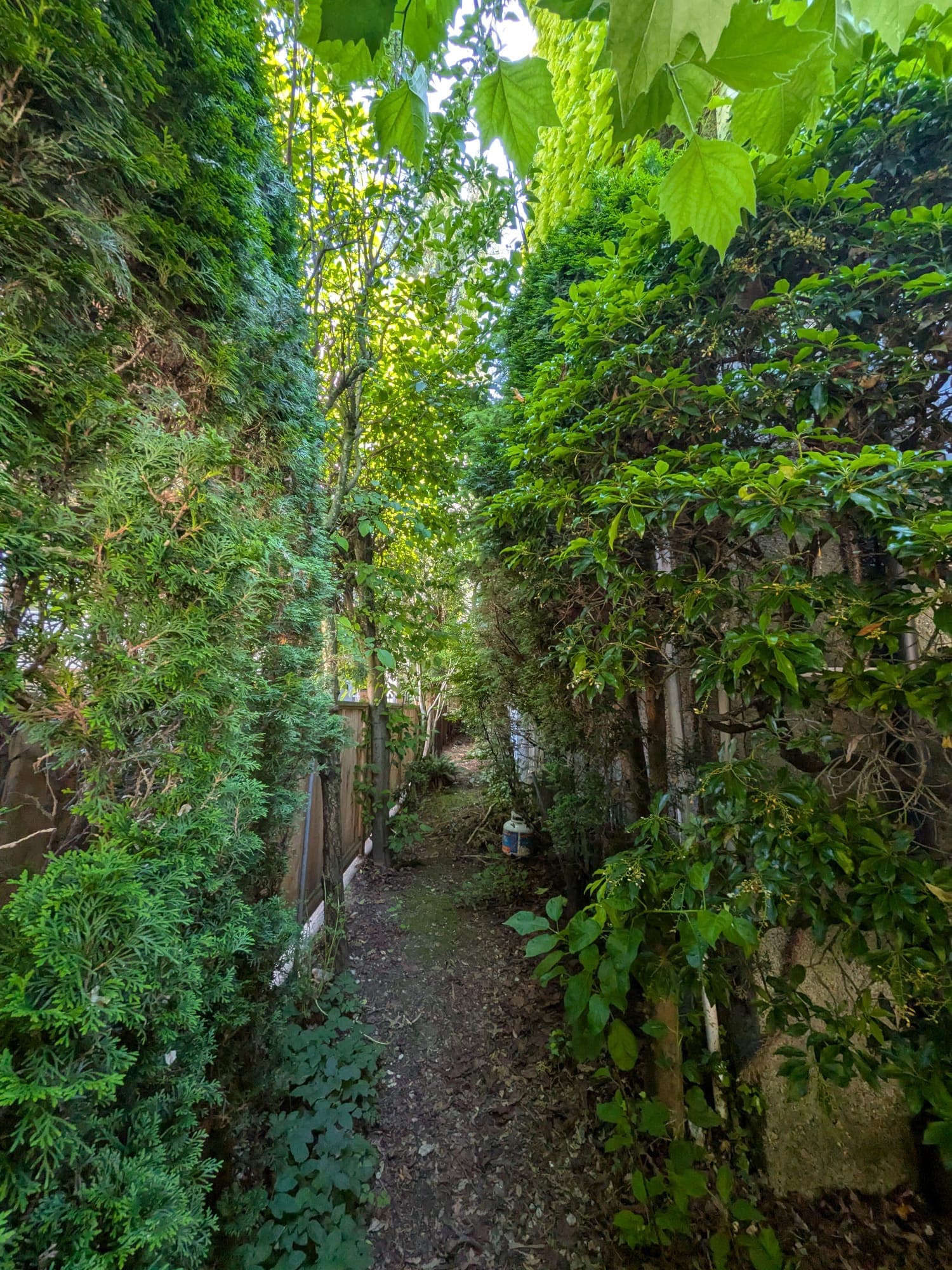 Outdoor Refresh — before