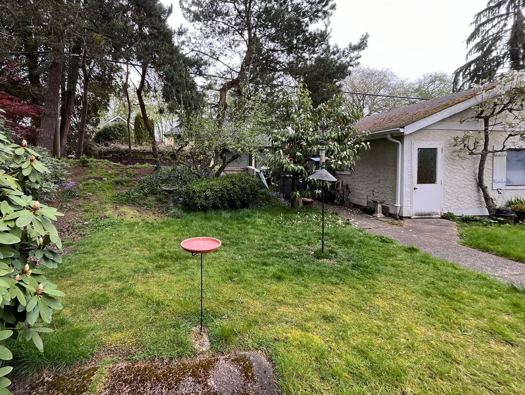 Project 2 — before