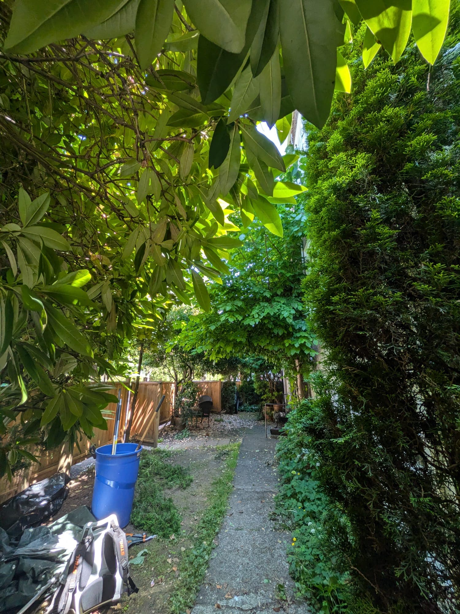 Garden Cleanup & Care — before