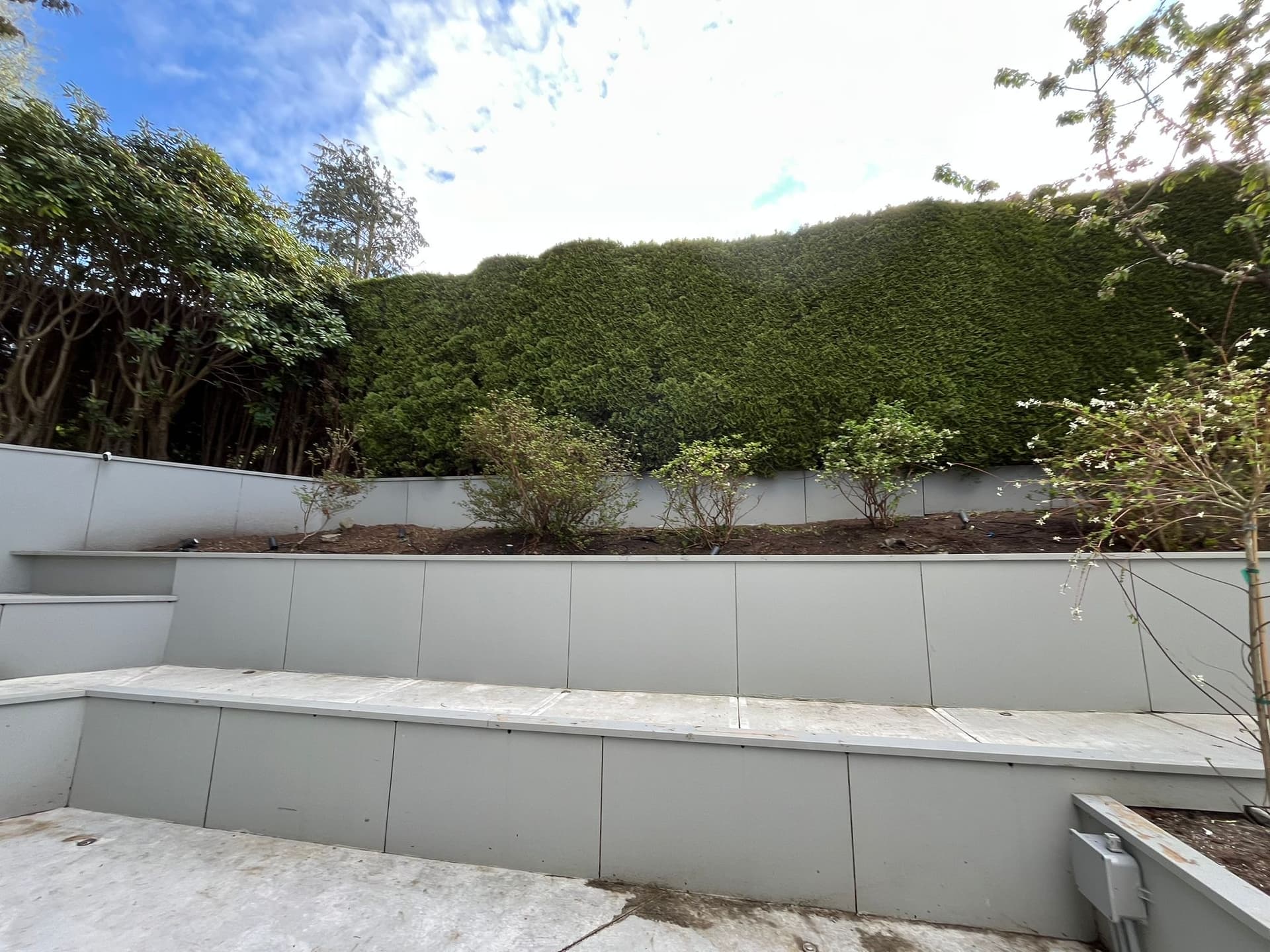 Tree & Flower Planting — before
