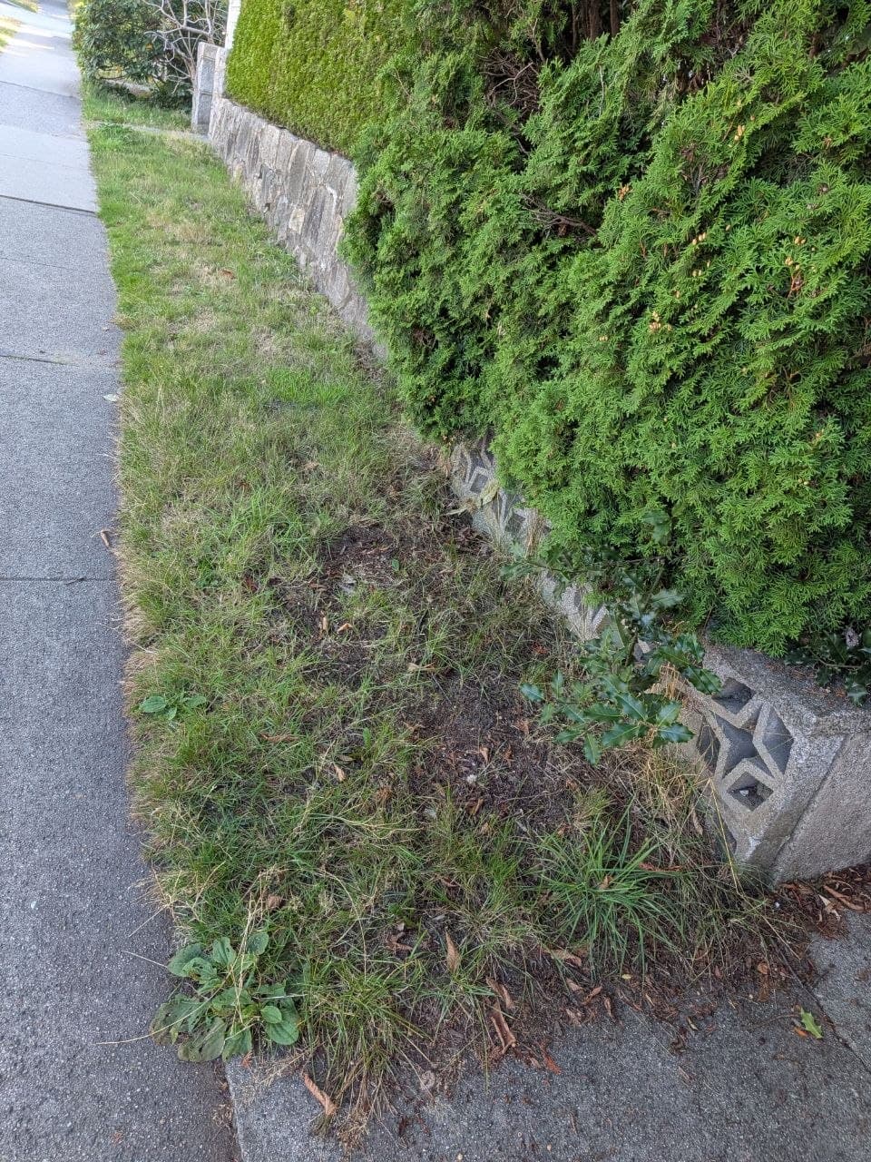 Natural Flagstone & River Rock Installation — before