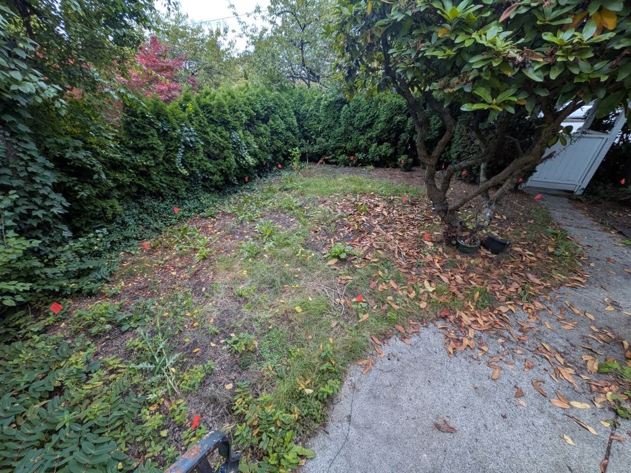 Project 1 — before