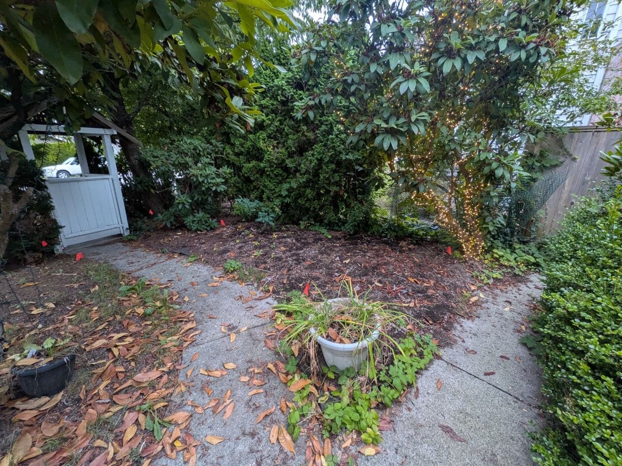 Natural Flagstone & River Rock Installation — before