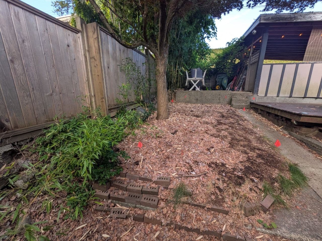 Project 2 — before