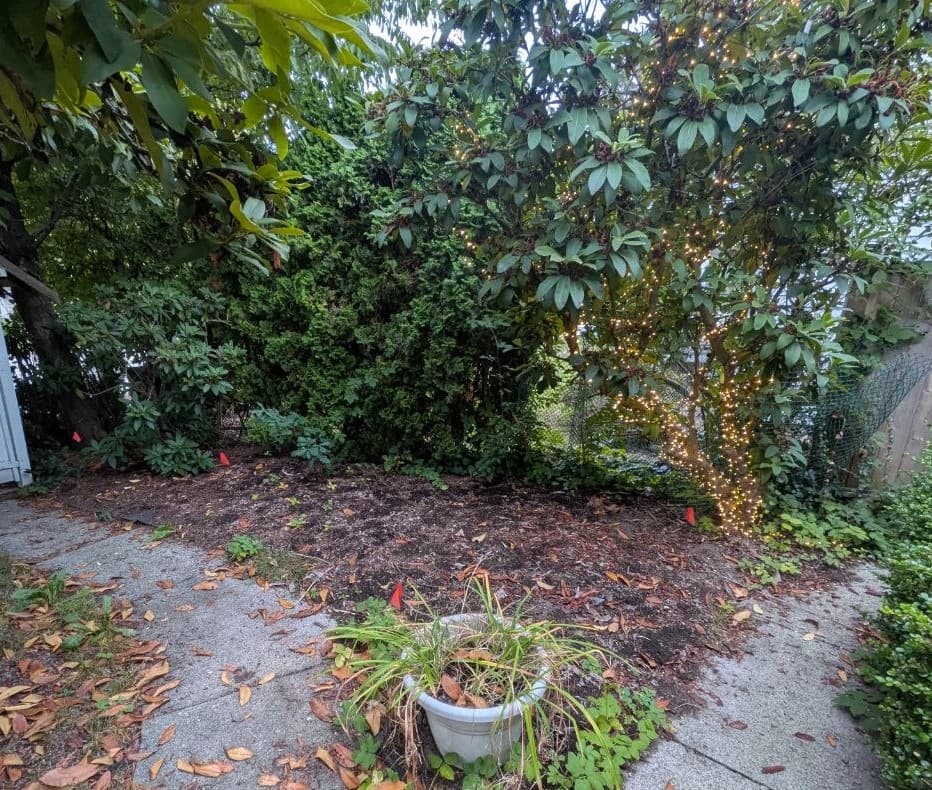 Project 3 — before