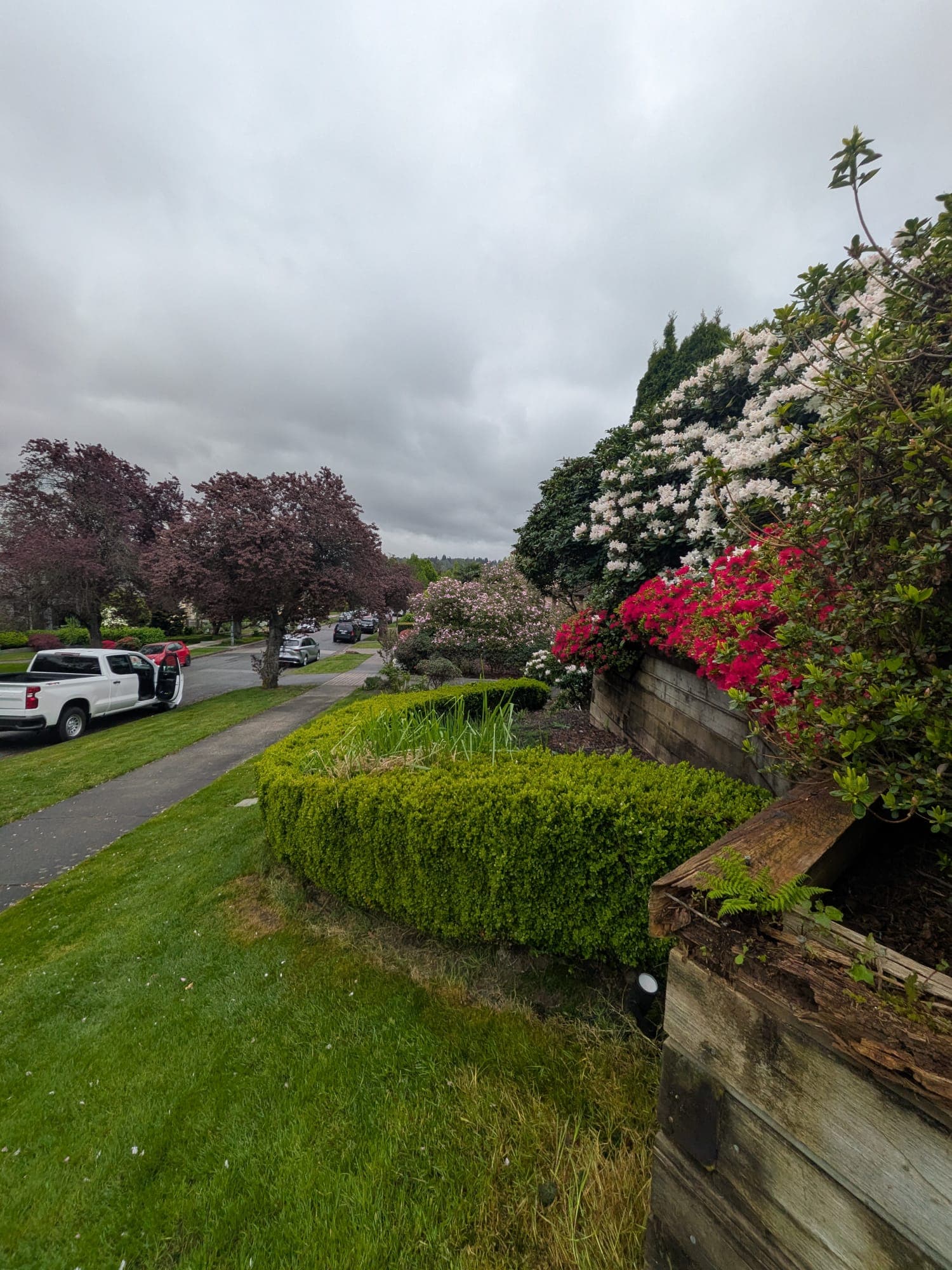 Garden Refresh — before
