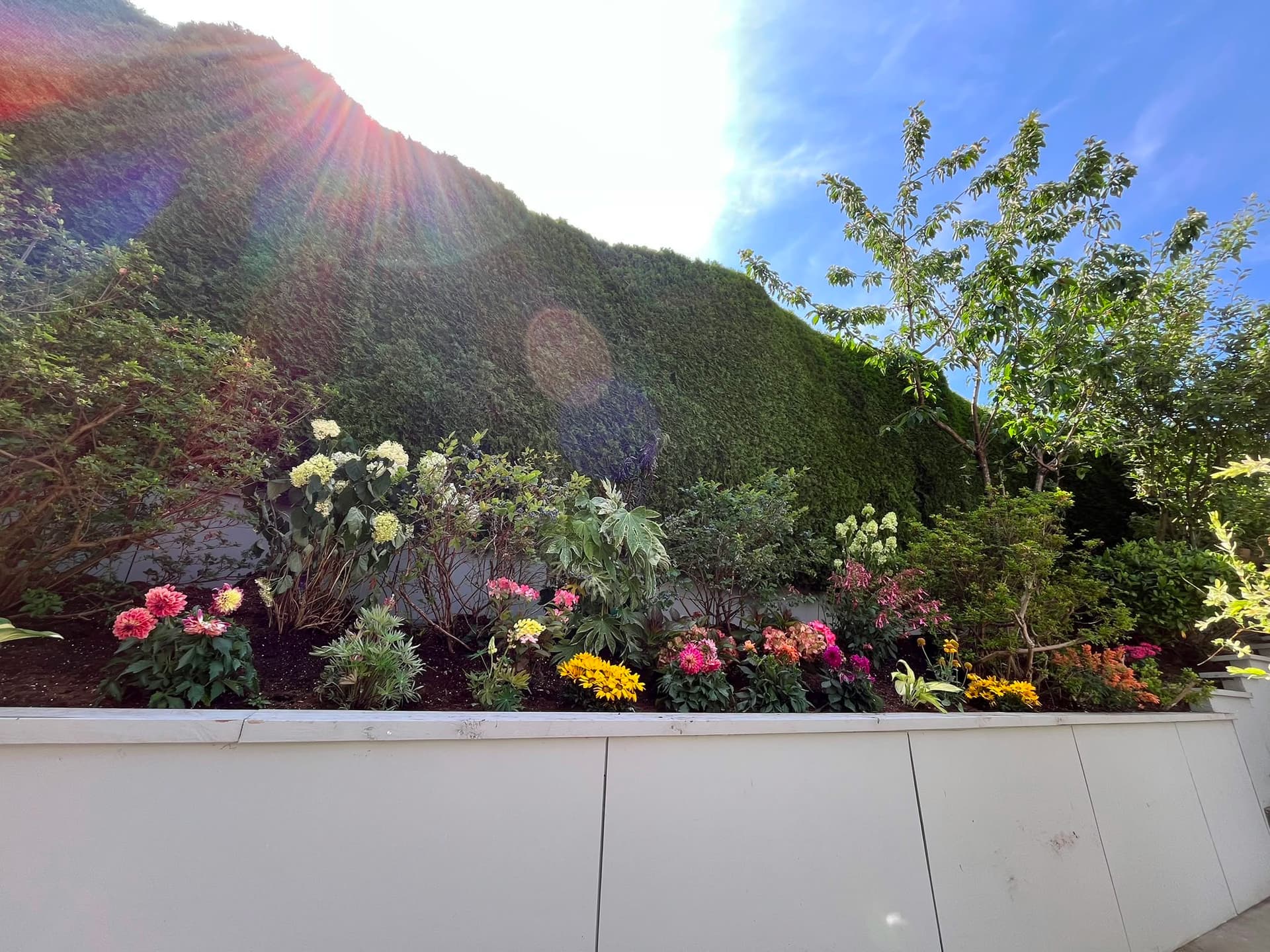 Tree & Flower Planting — 2