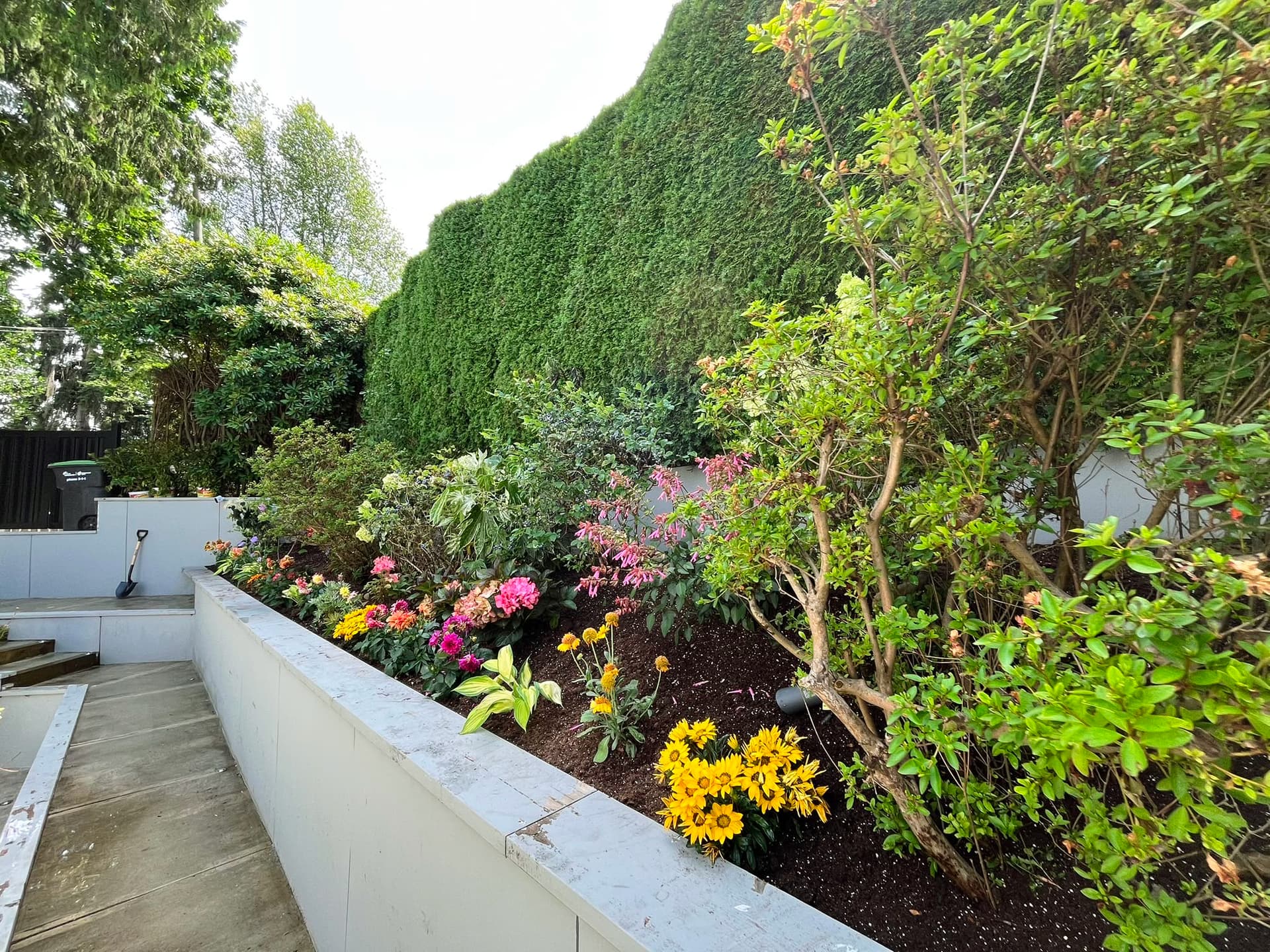 Tree & Flower Planting — 3