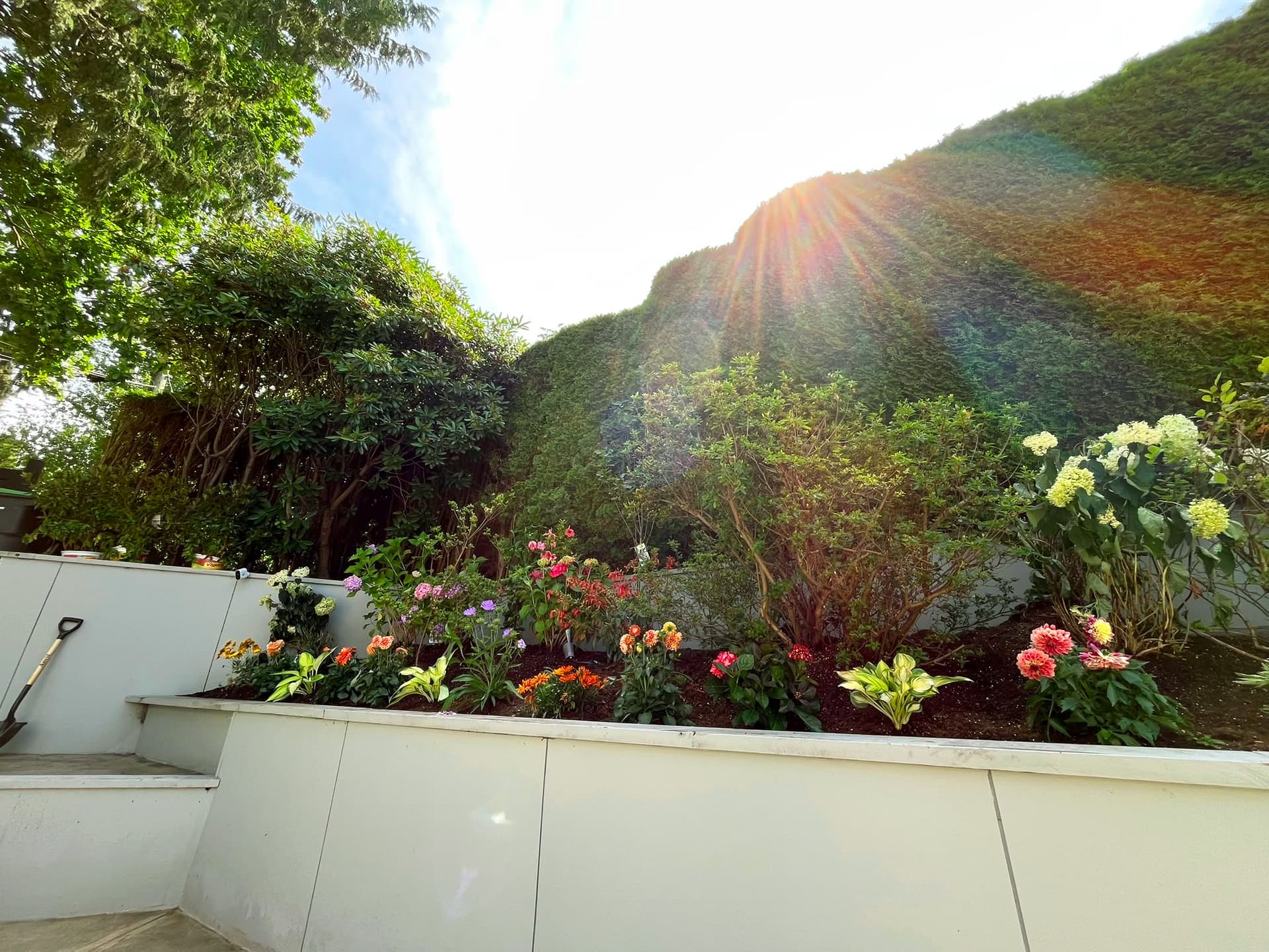 Tree & Flower Planting — 5