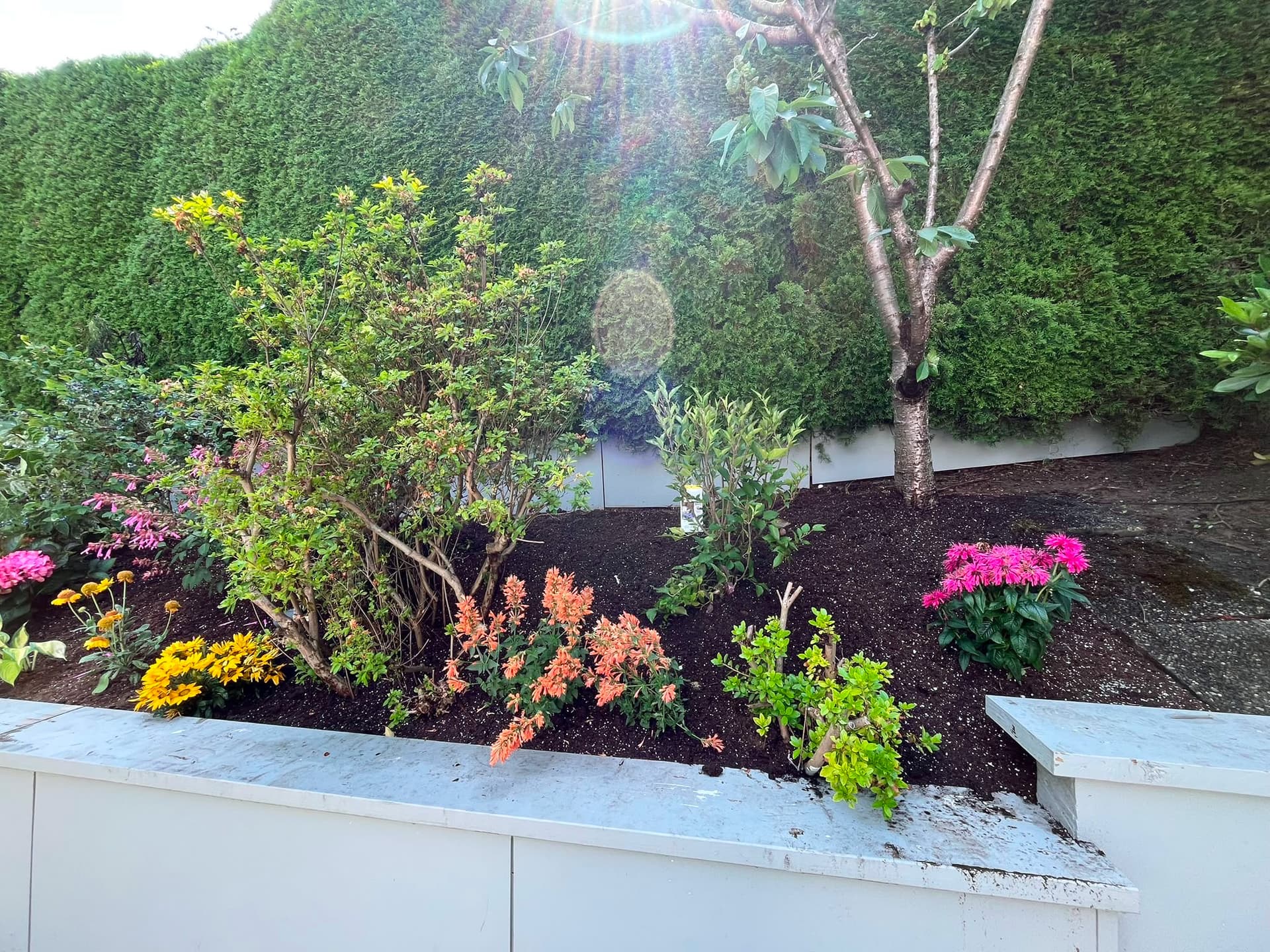 Tree & Flower Planting — 6